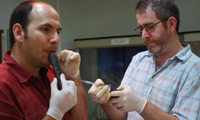 La Antara paracas presenta una forma similar a la actual zampoña. Este instrumento perteneció a la cultura Paracas o Wari Kayan, de la Provincia de Nasca en Perú. En la imagen se aprecia a Patricio de la Cuadra realizando mediciones de Antaras.